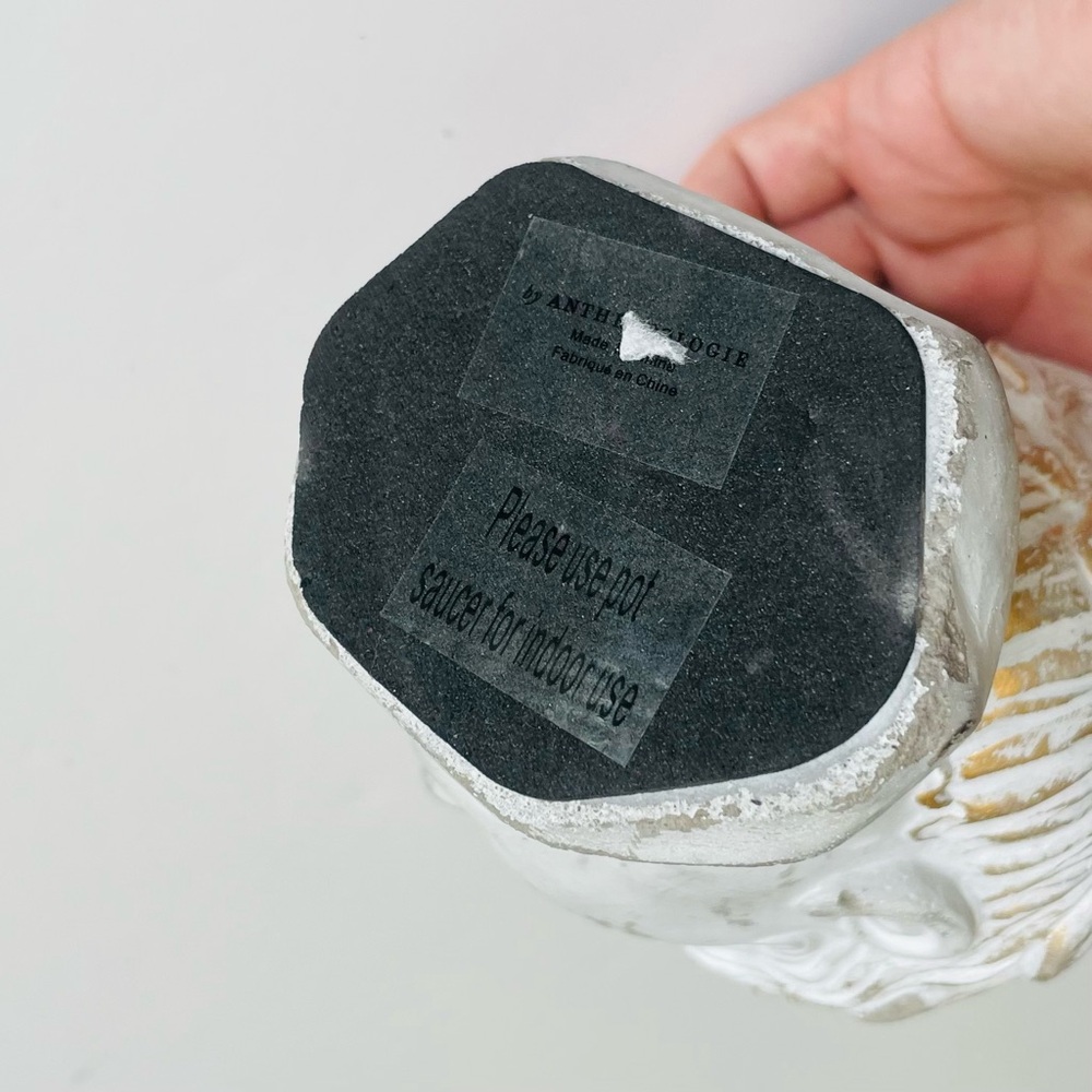 Anthropologie SMALL Grecian Bust Cement Pont - Picture 11 of 11